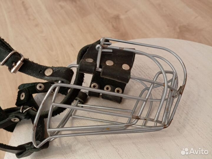 Ошейник, поводок, намордник для собак