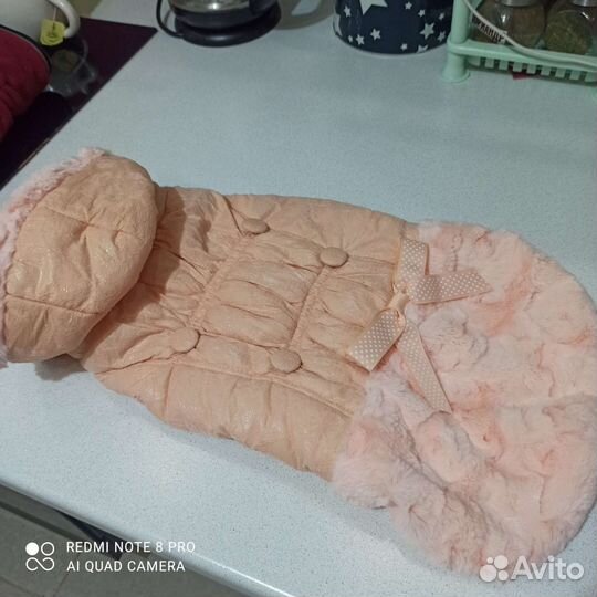 Одежда для собак