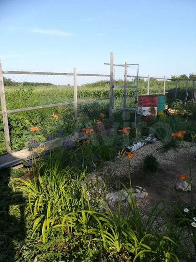 Дом 37,2 м² на участке 24,6 сот.