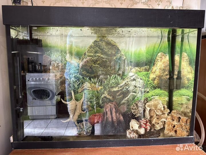 Аквариум на 200 литров