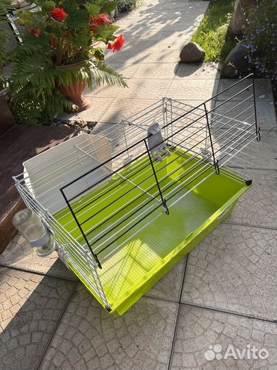 Клетка для грызунов ferplast