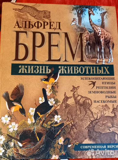 Книга Жизнь животных современная версия Брем