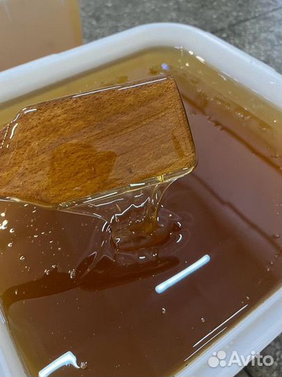 Натуральный мёд майский. 2023 г. Опт