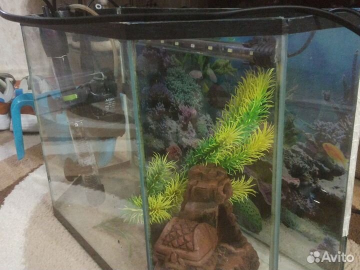 Аквариум