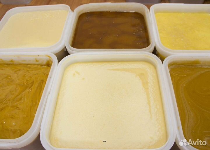 2024 Мёд натуральный с Алтая опт