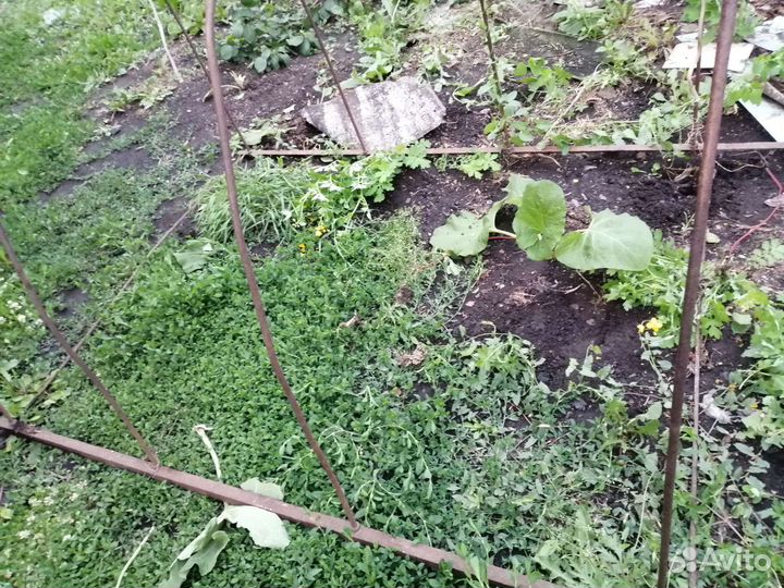 Парник металический