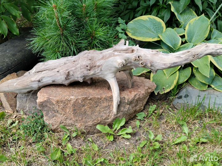 Коряга дрифт-вуд