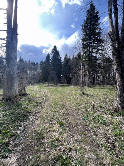 Участок 40 сот. (СНТ, ДНП)