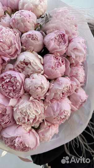 Большой букет из пионов на День рождения