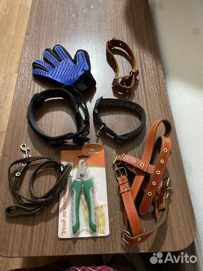 Ошейники и поводки для собак