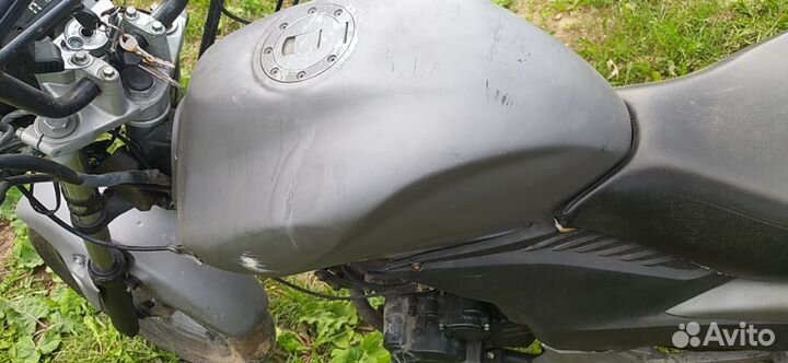 Stels flex 2