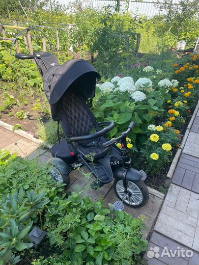 Коляска велосипед bentley