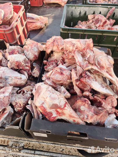 Мясо для собак