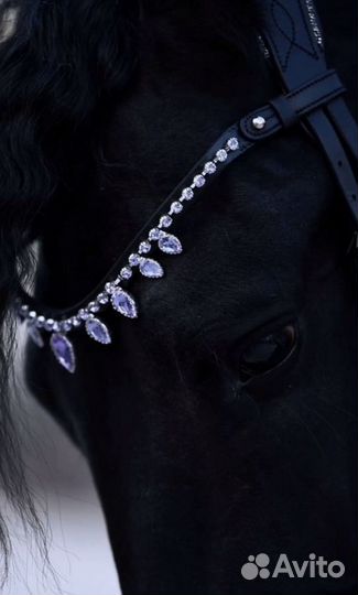 Налобник для лошади фулл диадема