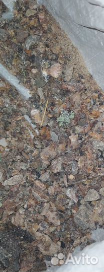 Смолкасмола