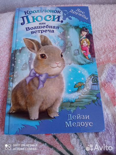 Книга крольчонок люси или волшебная встреча