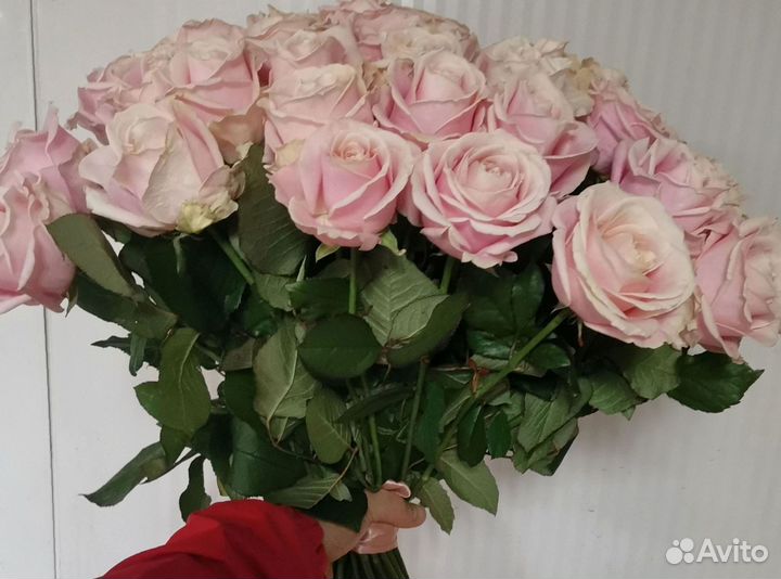 Розы букет цветов