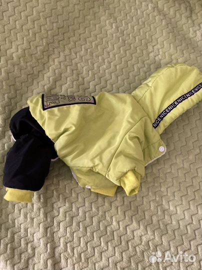 Зимний комбинезон для собаки