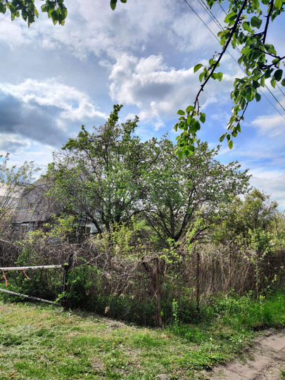 Дом 30 м² на участке 6 сот.