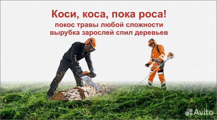 Покос травы