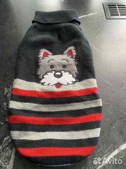 Одежда для собачки