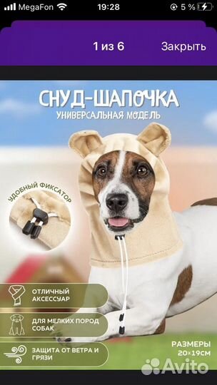 Шапочки для собак