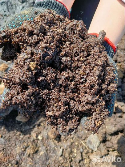 Навоз, перегной, чернозëм