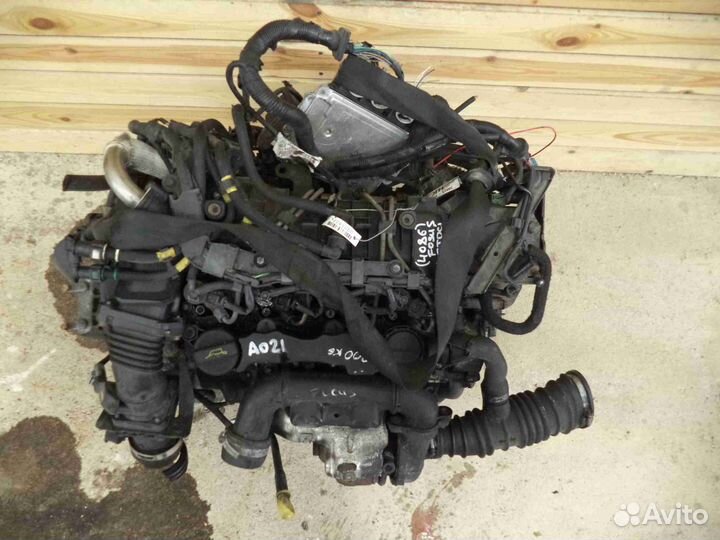 Двигатель Ford 1.6 G8DA