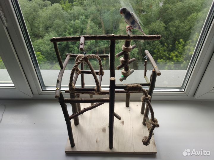 Игровой стенд, площадка для попугаев