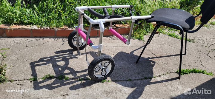 Инвалидная коляска для собак