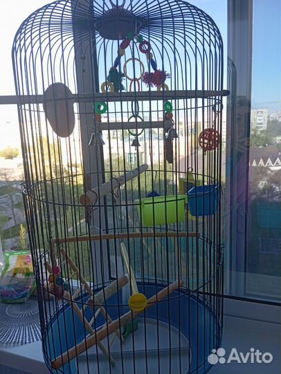 Клетка для попугая бу