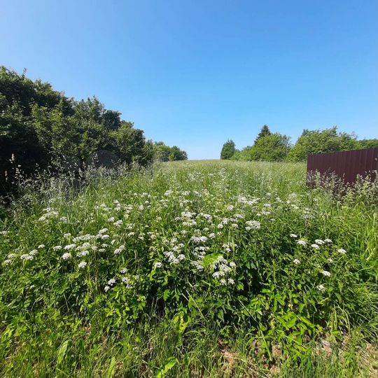 Участок 24 сот. (ИЖС)