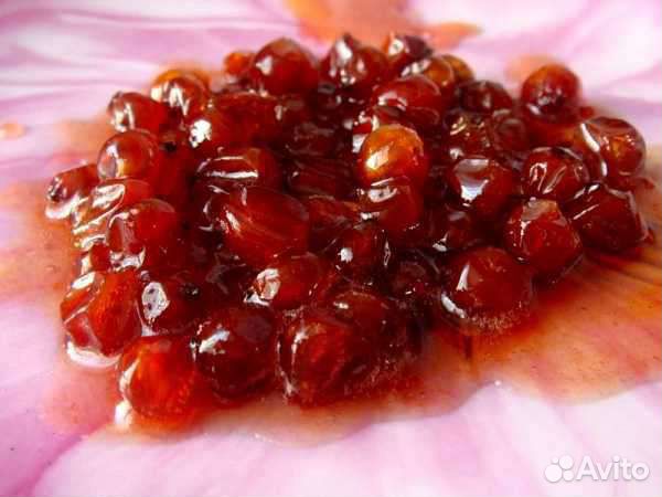 Варенье из калины