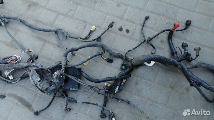 Проводка подкапотная nissan tiida c11 1.6L МКПП