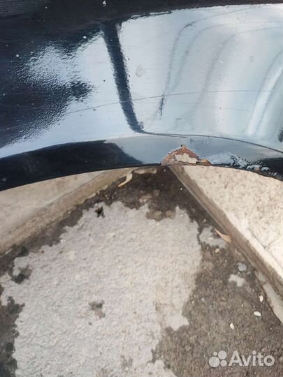 Крыло на калину 2