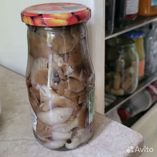 Грибы лесные:белые, опята, подосиновики и др