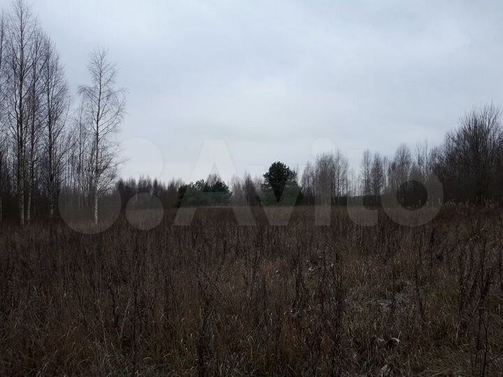 Участок 5,27 га (СНТ, ДНП)