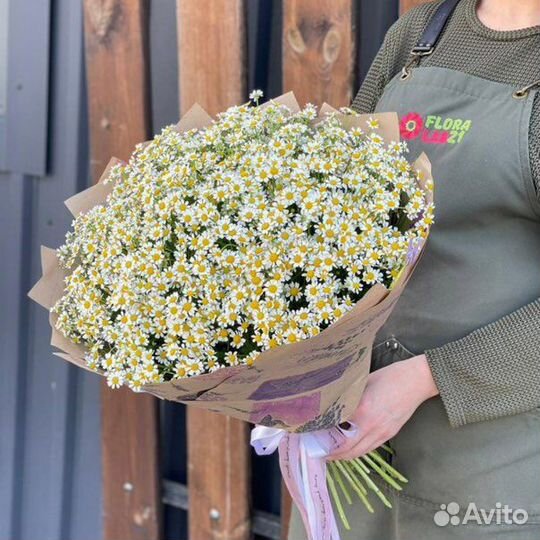 Букет из ромашек 11 21 31 41 51