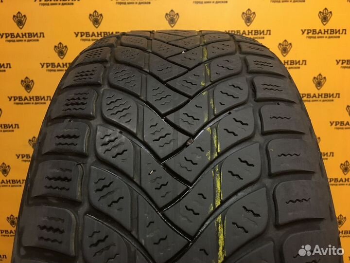 Delinte Winter WD6 215/50 R17 95H