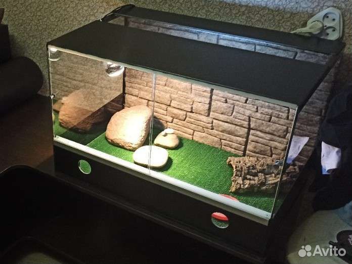 Изготовление террариумов