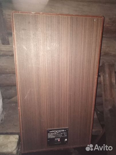 Акустические колонки орбита