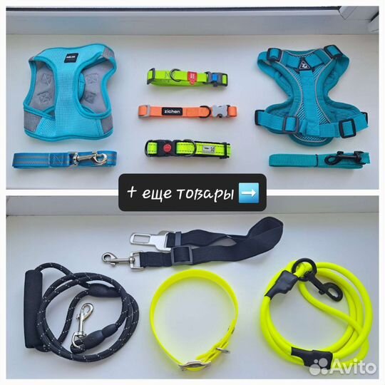 Амуниция для собак (новая и б/у)