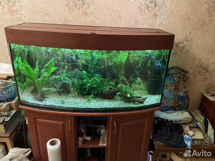 Аквариум с тумбой 180л