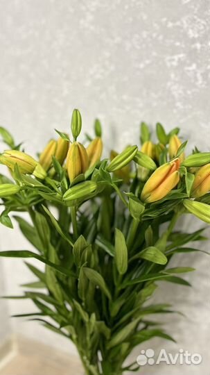 Лилии букет