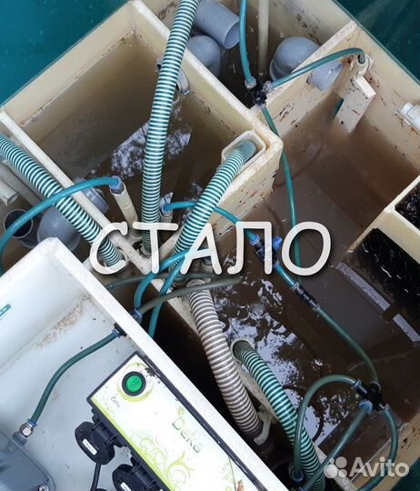 Обслуживание септика Дека