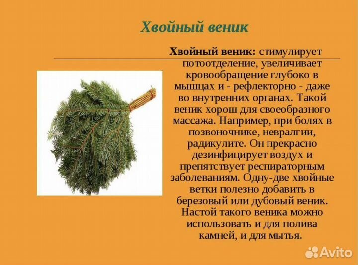 Веники для бани пихта