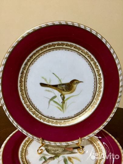 Антикварная тарелка с изображением птиц. Англия