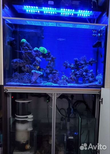 Аквариум морской 200 л