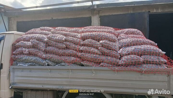 Сосновые шишки Мульча