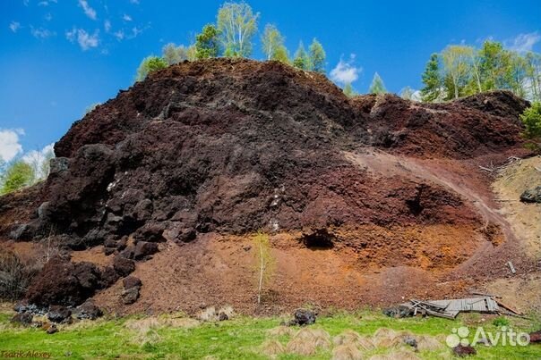 Конные прогулки в аршане